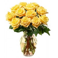 12 Stems Yellow Roses with FREE Vase