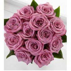 Elegance Rose Bouquet - 12 Stems of 40 cm Roses - No Vase