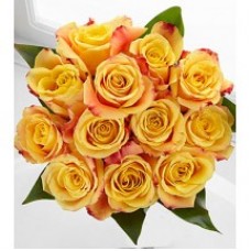Optimism Rose Bouquet - 12 Stems of 40 cm Roses - No Vase