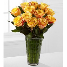 Optimism Rose Bouquet - 12 Stems of 40 cm Roses - VASE INCLUDED
