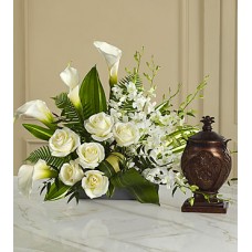 The FTD At Peace Arrangement