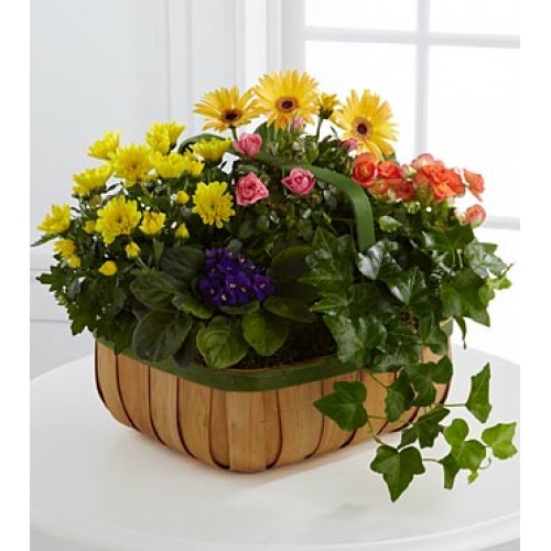 Gentle Blossoms Basket