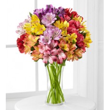 The FTD Pick Me Up Rainbow Discovery Peruvian Lily Bouquet - 10 Stems - VASE INCLUDED
