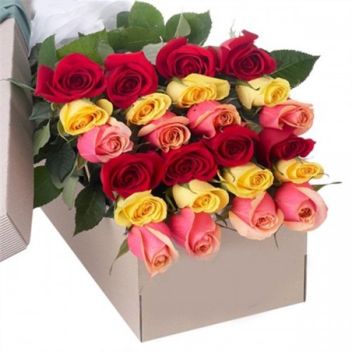 2 Dozen Assorted Roses – Mother’s Day