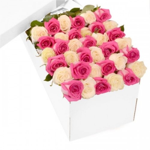 3 Dozen Pink and White Roses 