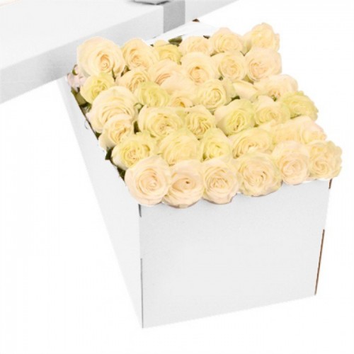 3 Dozen White Roses