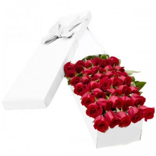 3 Dozen Red Roses