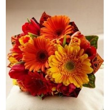 Bridal Bouquet Sunglow 