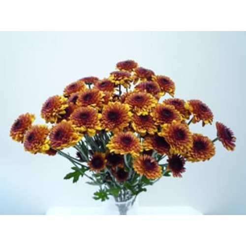 Chrysanthemum Spray Button Bronze – 3 Bunches $38.99 - (Each Bunch $12.99) 