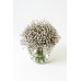 Bulk Baby 's Breath