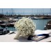 Bulk Baby 's Breath