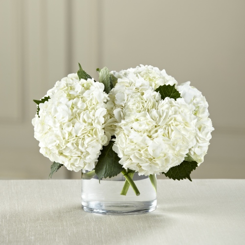 Elegant Centerpieces with Hydrangea