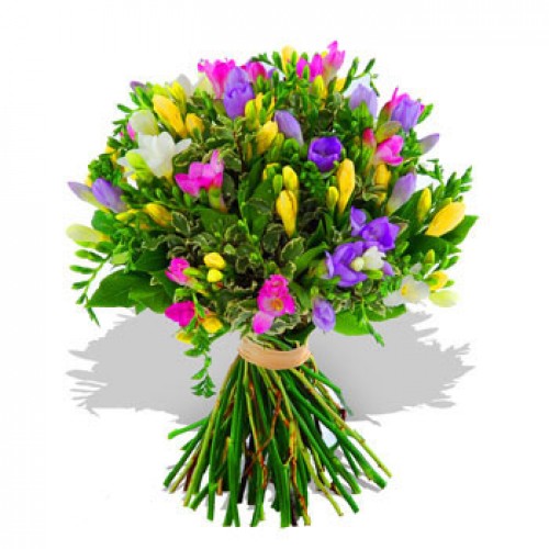 Freesia Bouquet