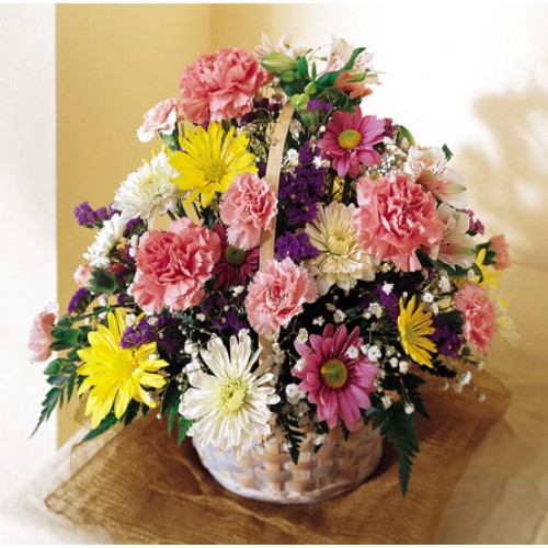 The January Birth Flowers - Carnation