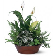 White Garden Planter - online Flower Shop