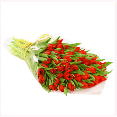 Bouquet of 10 Stems Red Tulips
