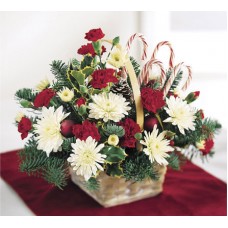 Candy Cane Lane Bouquet - Christmas