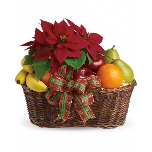 Fruit and Poinsettia Basket