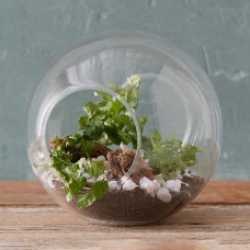 Crosswinds Vase with Plants