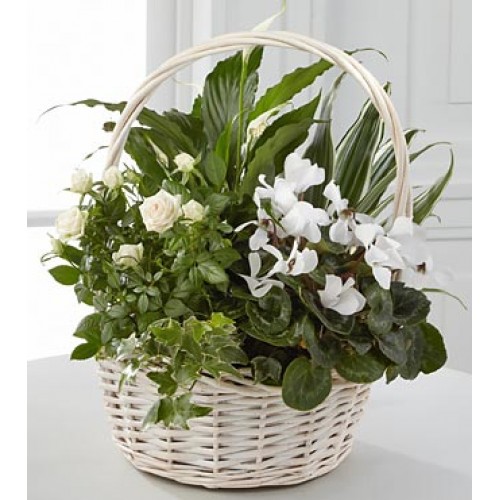 Nature Flowering Garden