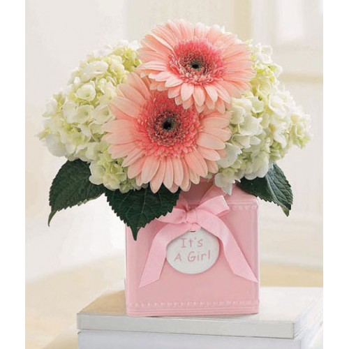 Sweet Dreams Girl Bouquet