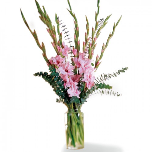 Exotic Gladiolus Bouquet