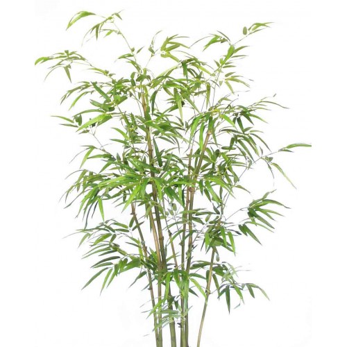 6' Bamboo Tree - Artificial