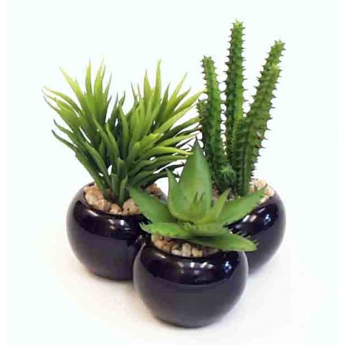 5.5" Cactus Planter-Artificial