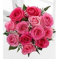 Dozen Pink Roses - 40 cm No Vase