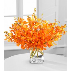 Amber Awakenings Mokara Orchid Bouquet - 10 Stems - VASE INCLUDED