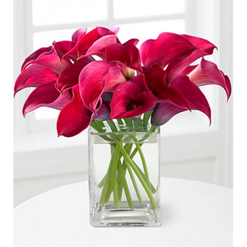 Bold Beauty Calla Lily Bouquet - VASE INCLUDED