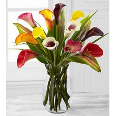 Captured Color Calla Lily Bouquet - 12 stems - VASE INCLUDED