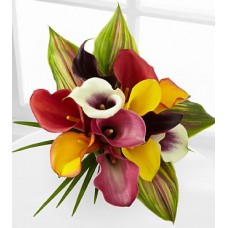 Captured Color Calla Lily Bouquet - 12 stems, No Vase