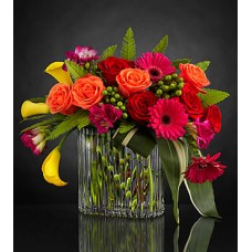 Color Intensity Luxury Bouquet - VASE INCLUDED