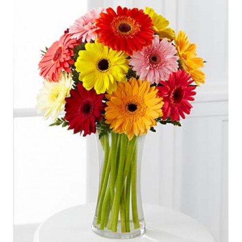 Colorful World Gerbera Daisy Bouquet - 12 Stems - Vase Included