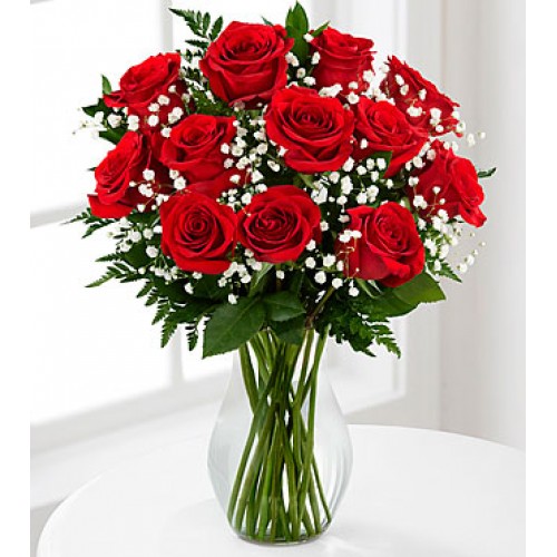 Red 1 Dozen Long Stem Roses - VASE INCLUDED