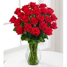24 Red Roses - VASE INCLUDED