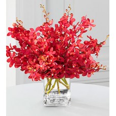 Rouge Reflections Mokara Orchid Bouquet - 10 Stems - VASE INCLUDED