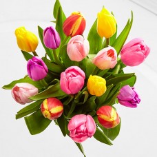 Rush of Color Assorted Tulip Bouquet - 10 Stems - NO VASE