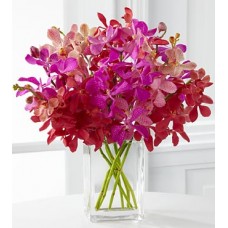 Tickled Pink Orchid Bouquet - 8 Stems - VASE INCLUDED