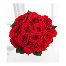 Red 1 Dozen Long Stem Roses - No Vase