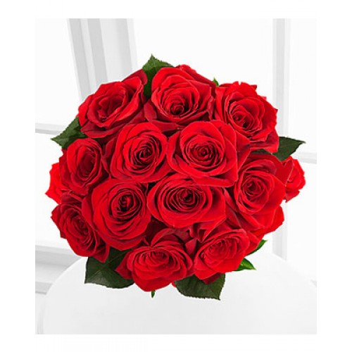 Red 1 Dozen Long Stem Roses - No Vase