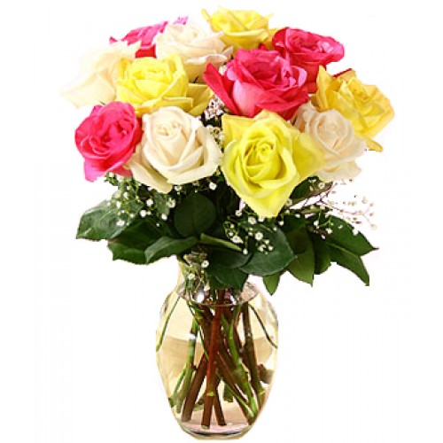 Vase of 12 Stem Mixed Roses