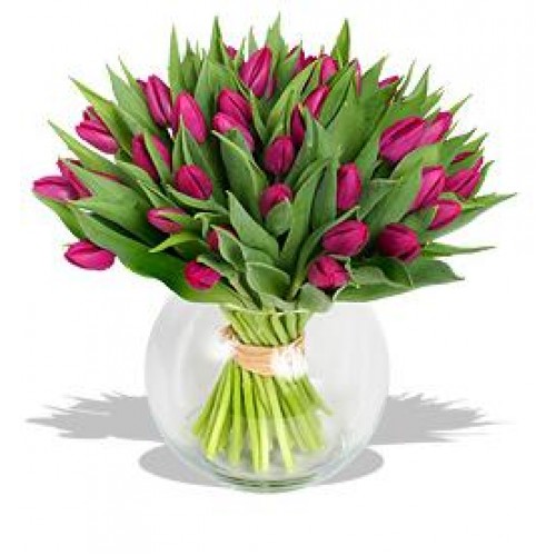 20 Stems Tulips with FREE Vase