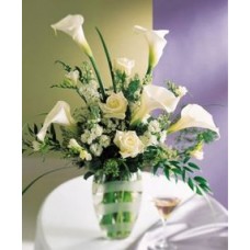 Calla Lily Flowers and More