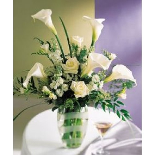 Calla Lily Flowers and More
