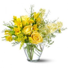 Delicate Yellow Flowers