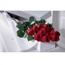 12 Long Stem Roses Boxed