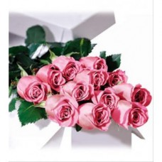 12 Stems Long Stem Pink Roses Boxed