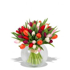 20 Stems Mix Colour Tulips with FREE Vase